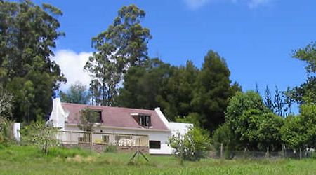 Masescha Country Estate Guest House Plettenberg Bay Exterior photo